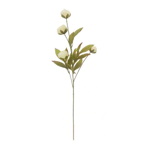 New Set of 5 Ashland by Michael’s 28” Cream Peony Stems - Picture 3 of 4